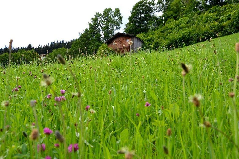 Chalets & Apartments Wachterhof Kaltenbach Exterior foto